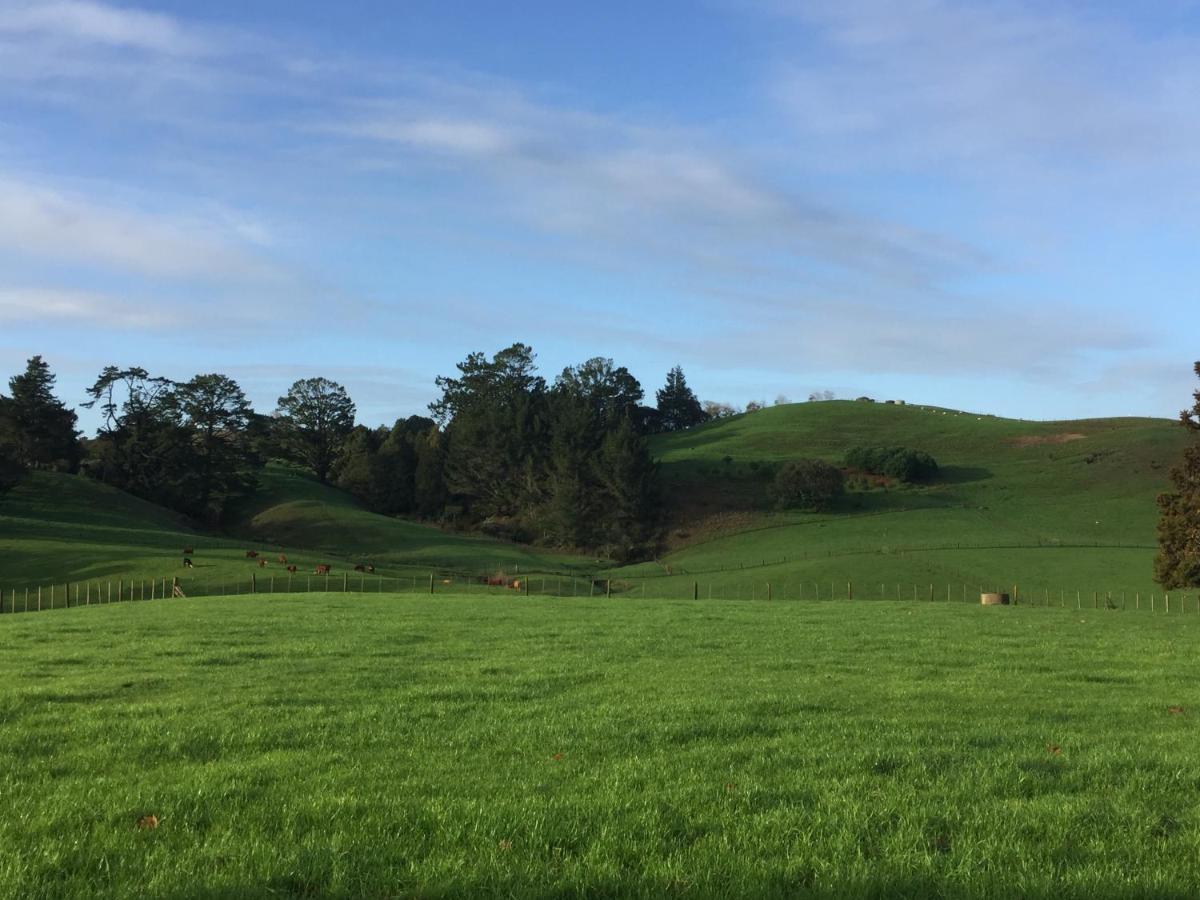 Veld View Bed And Breakfast Tuakau Eksteriør bilde