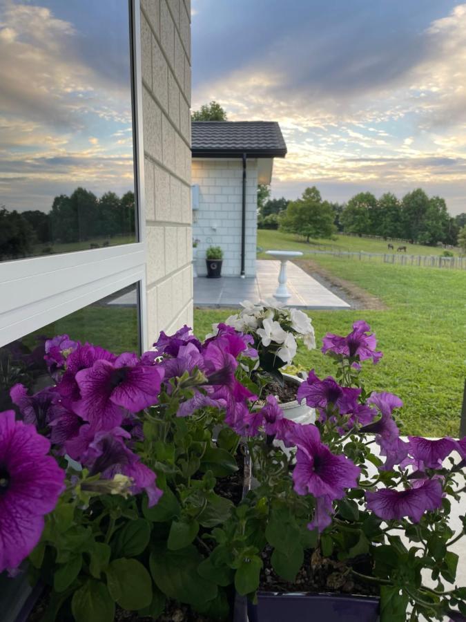 Veld View Bed And Breakfast Tuakau Eksteriør bilde