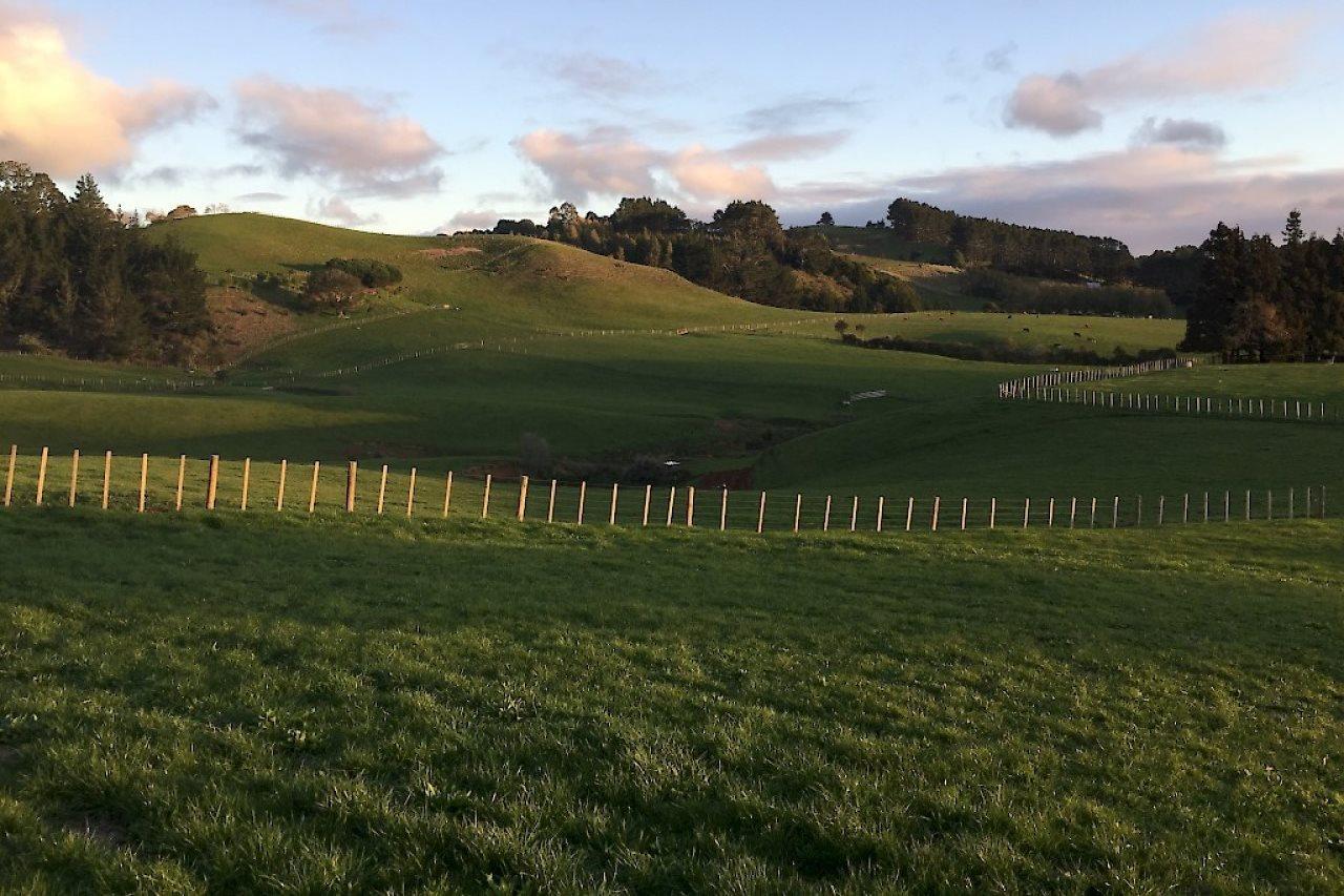 Veld View Bed And Breakfast Tuakau Eksteriør bilde